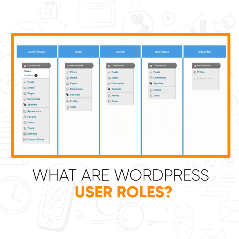 Wordpress Custom User Roles